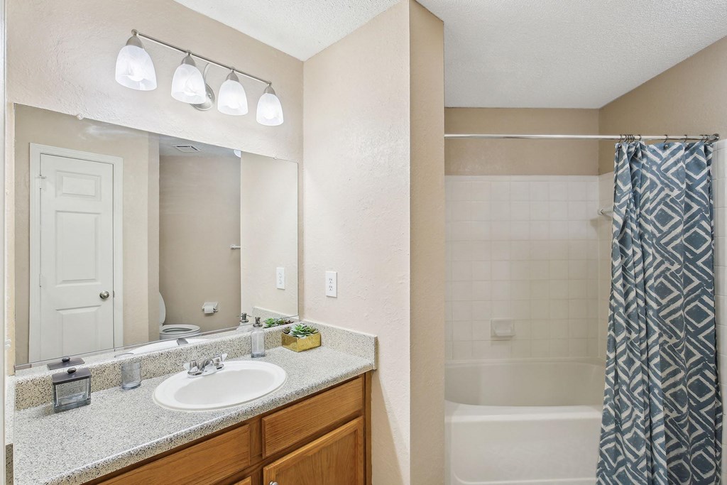 Model bathroom with a shower and a sink and a mirror at Wellington Ridge in Lawrenceville, GA