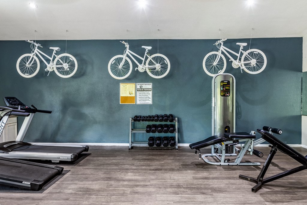a gym with cardio equipment and bikes on the wall