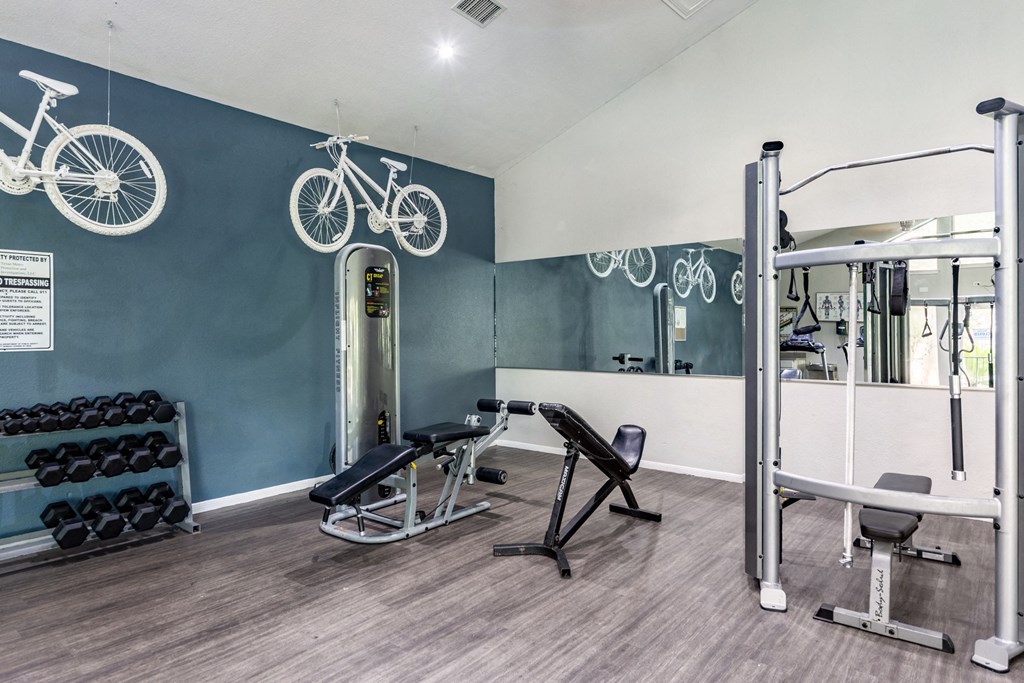 a gym with exercise equipment and bikes on the wall