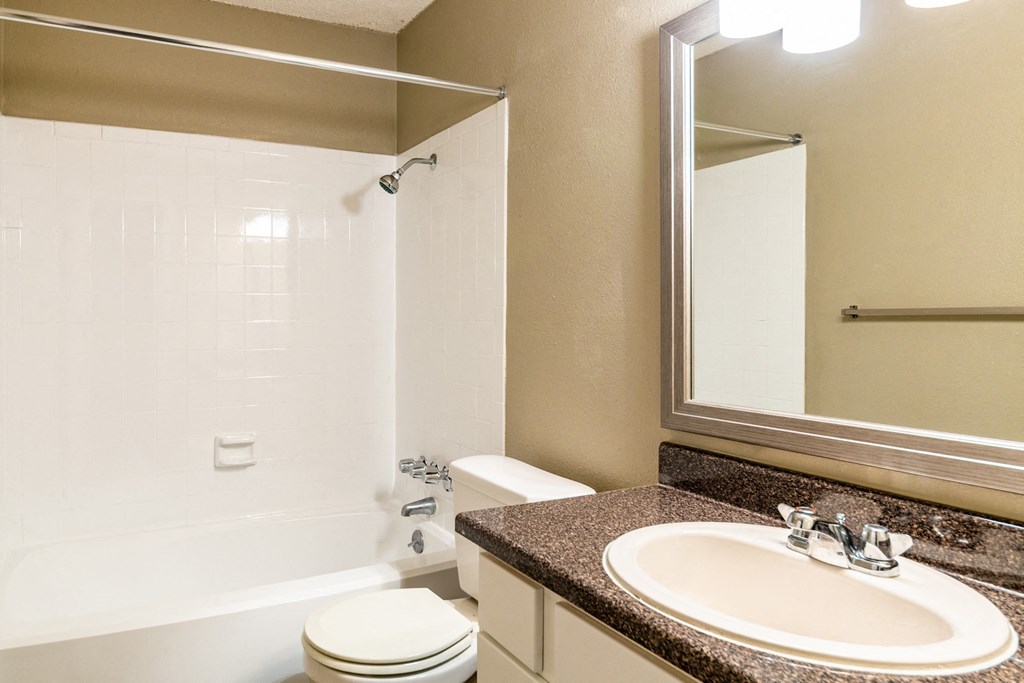 a bathroom with a sink toilet and shower and a mirror