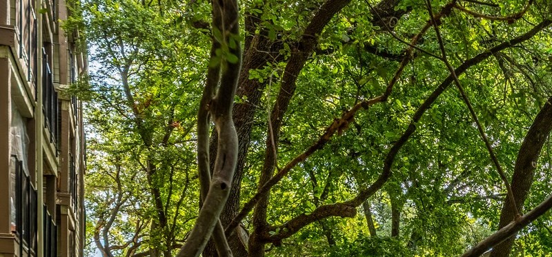 Westdale Creek | Apartments in Austin, TX