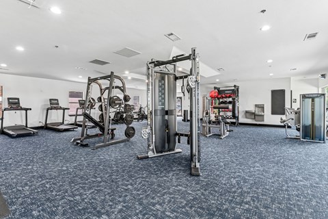 A gym with a variety of equipment including a squat rack, bench press, and a rowing machine.