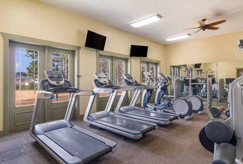 the gym has cardio equipment and a lot of windows