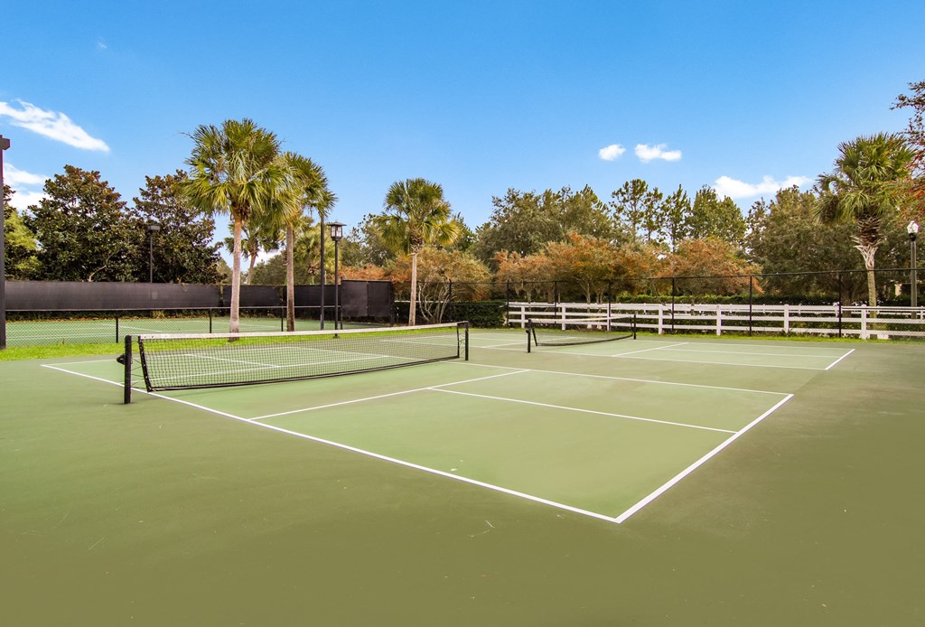 two tennis courts with palm trees in the background on a sunny day