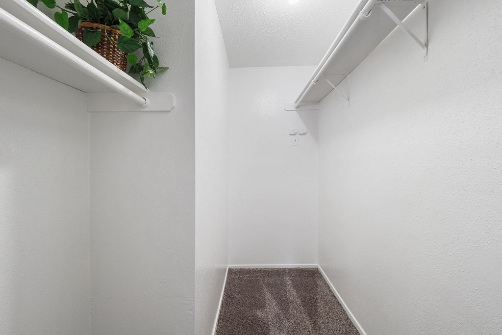 a walk in closet in a bedroom with a plant on the shelf