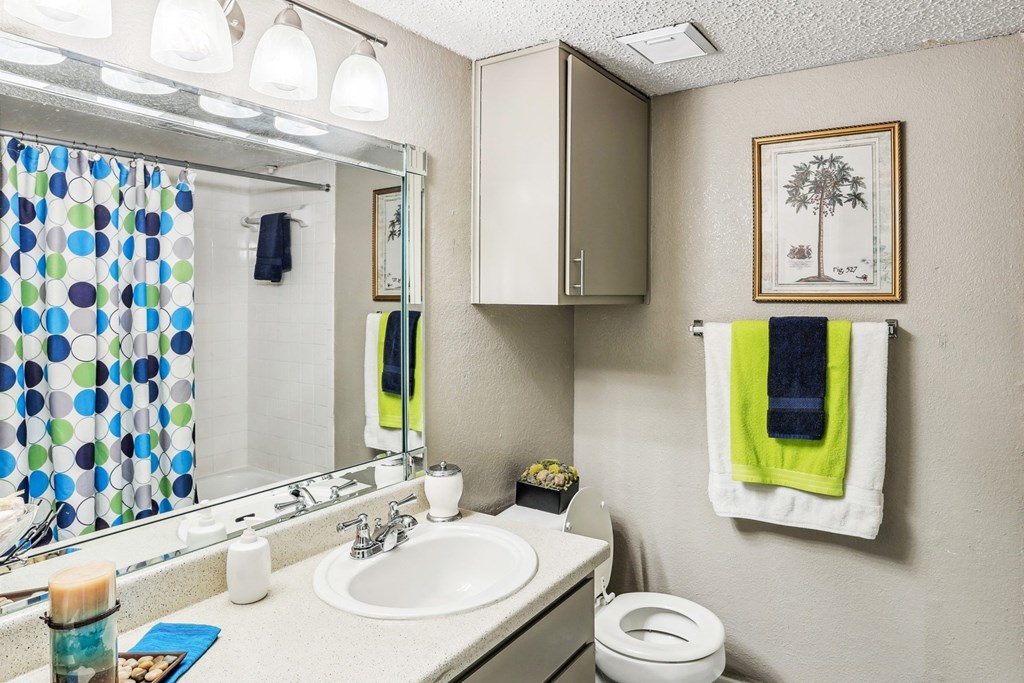 Model bathroom with a sink and a toilet and a mirror at Hunters Chase in Austin, TX
