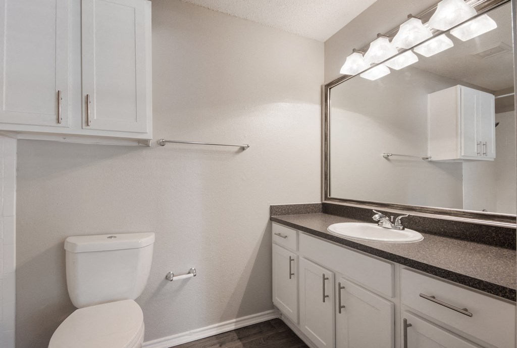 a bathroom with a toilet sink and mirror