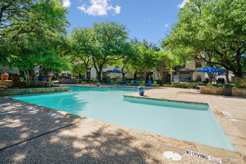 A pool surrounded by trees and poolside seating at La Costa in Plano, TX