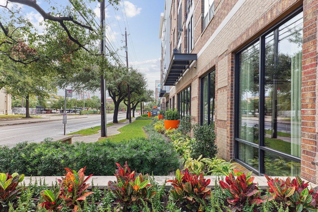 Muse At Museum District