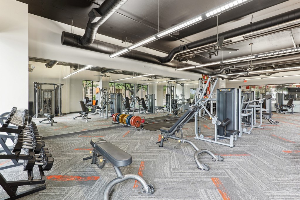 Muse At Museum District