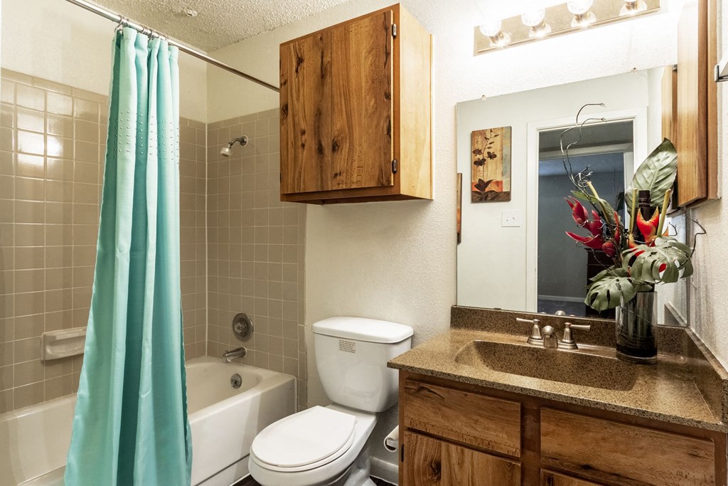 Bathroom View at The Hollows Apartments in San Antonio, TX
