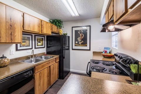 Kitchen View at The Hollows Apartments in San Antonio, TX