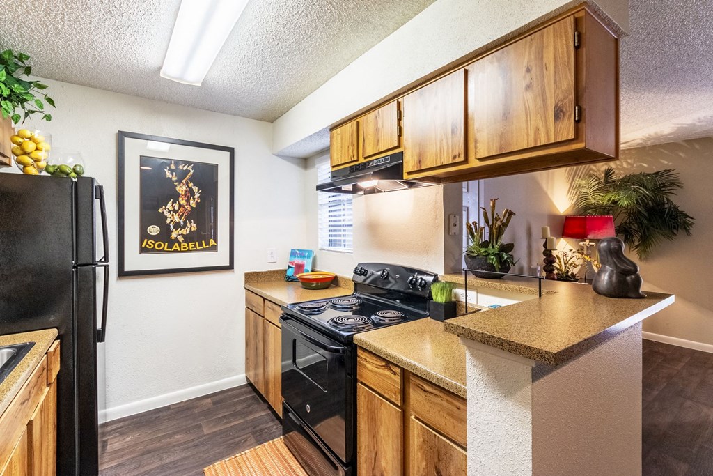 Kitchen View at The Hollows Apartments in San Antonio, TX