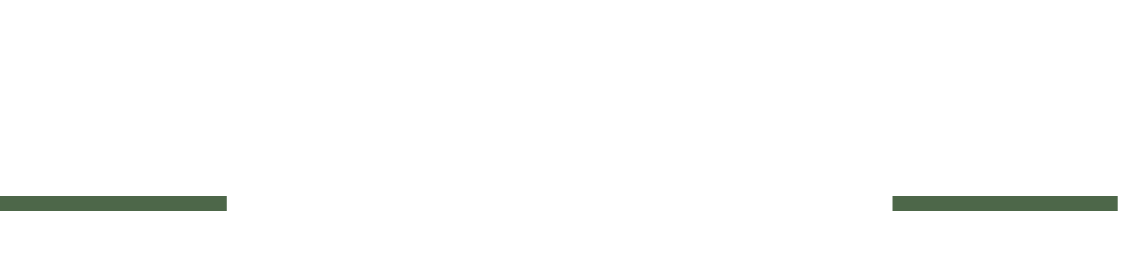 PSD-white logo