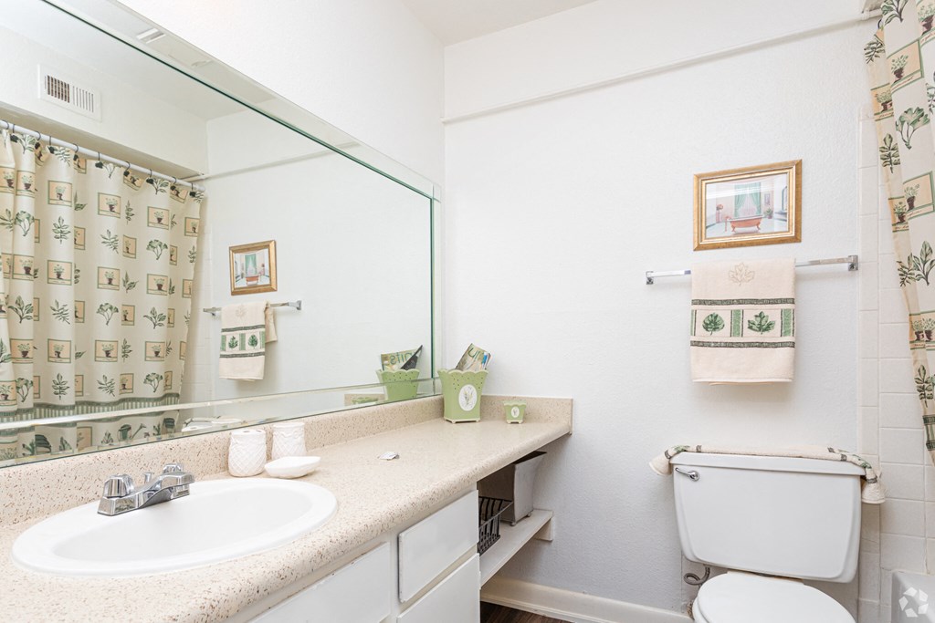 a bathroom with a sink and a toilet and a mirror