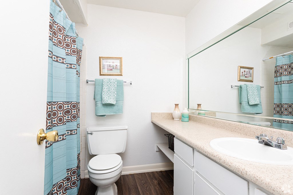 a bathroom with a shower and a toilet and a sink