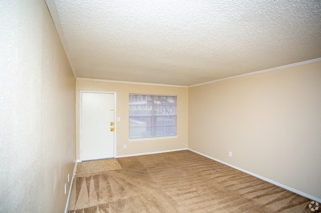 an empty living room with carpet and a window