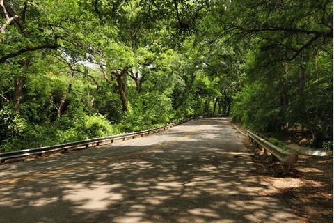 A road with trees on both sides and a bench on the right.