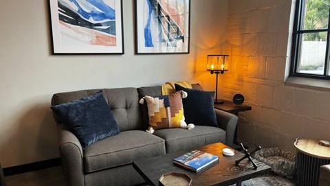A grey couch with a blue pillow and a small dog on it.