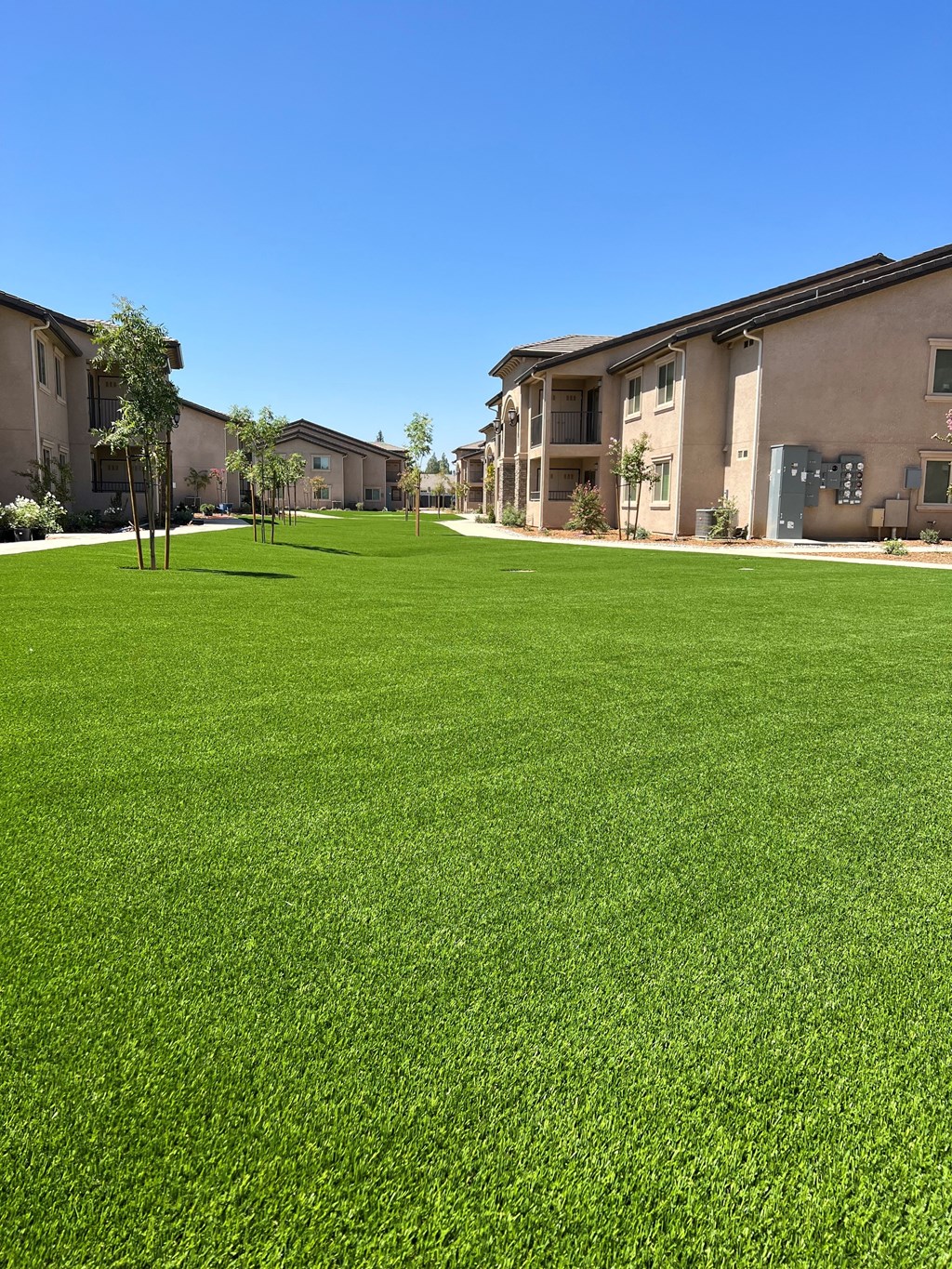 Courtyard with Buildings and Landscaping