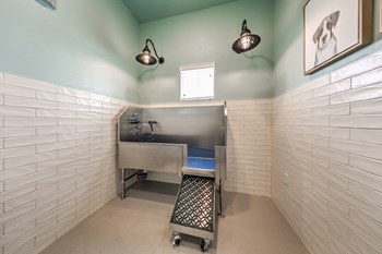 Dog Wash Area