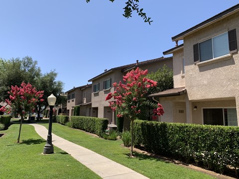 a sidewalk in front of some apartments with flowering trees
