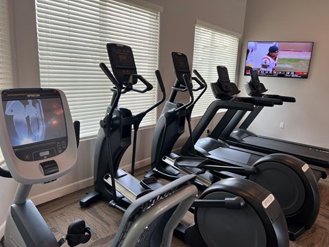 Exercise Equipment
