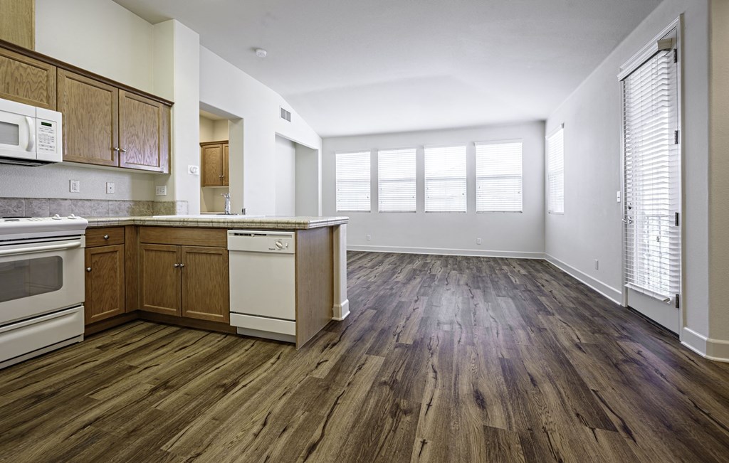 Living Room and Kitchen