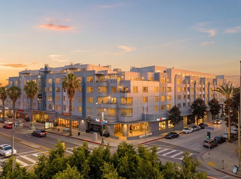 A large white building with a lot of windows is in the middle of a street with cars and palm trees.