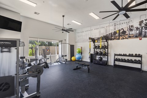 Linq Fitness Center