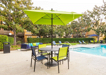 pool - Photo Gallery 2