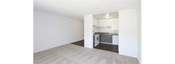 2383 / 2393 Studio