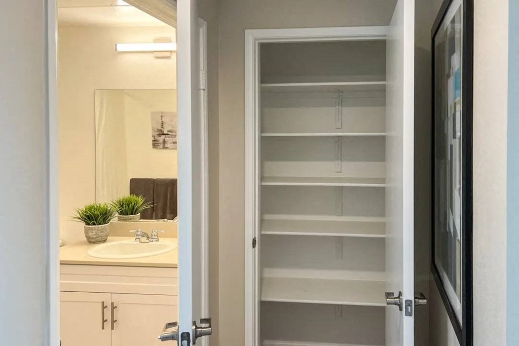 a bathroom with a sink and an open closet