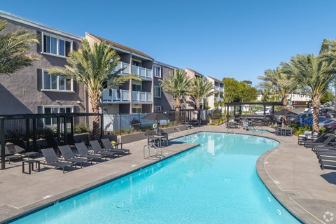 A swimming pool surrounded by lounge chairs and palm trees.