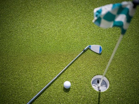 A golf ball is on the ground near a hole with a flag and a club.