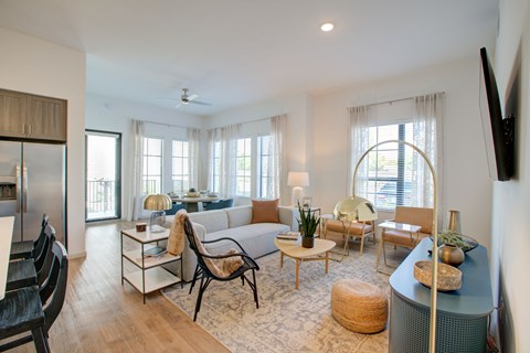 Model Apartment Living Space