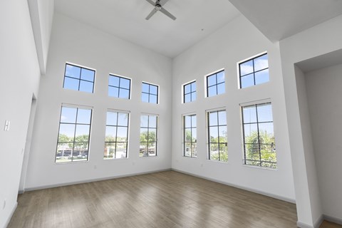 Apartment Windows