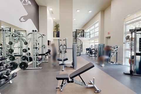 A gym with a variety of equipment including a bench, weights, and a pull up bar.