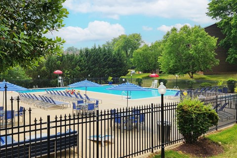 A pool surrounded by trees and a black fence.