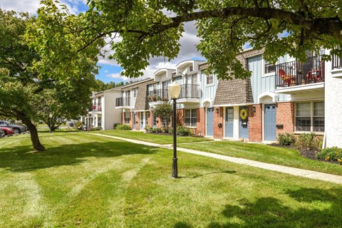 A row of houses with a tree in the foreground.