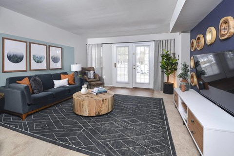 A living room with a grey couch, a wooden coffee table, and a black and white rug.