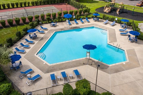 A large blue swimming pool surrounded by lounge chairs and umbrellas.