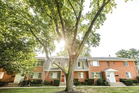 A tree stands in front of a red brick house.