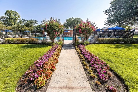 A walkway with a flower bed on either side leads to a pool.