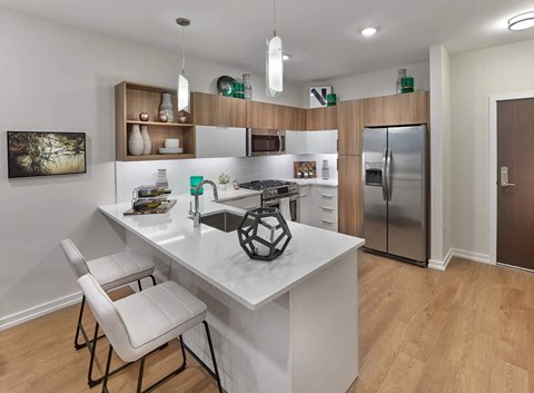 Apartment Kitchen