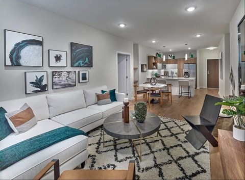 Apartment Living Room