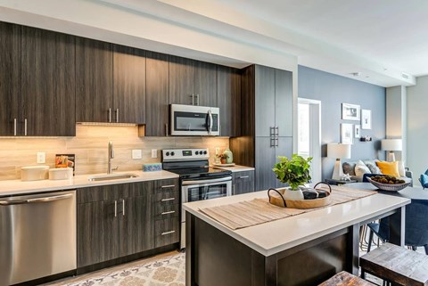 Apartment Kitchen