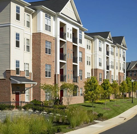 A row of apartment buildings with balconies and trees in front.