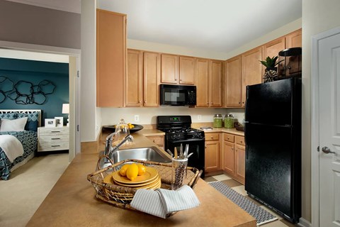 A kitchen with a black refrigerator and wooden cabinets.