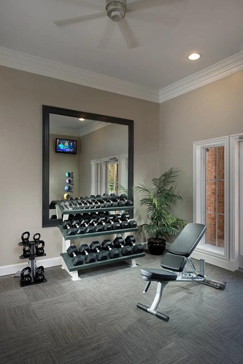 A home gym with a mirror, weights, and a bench.